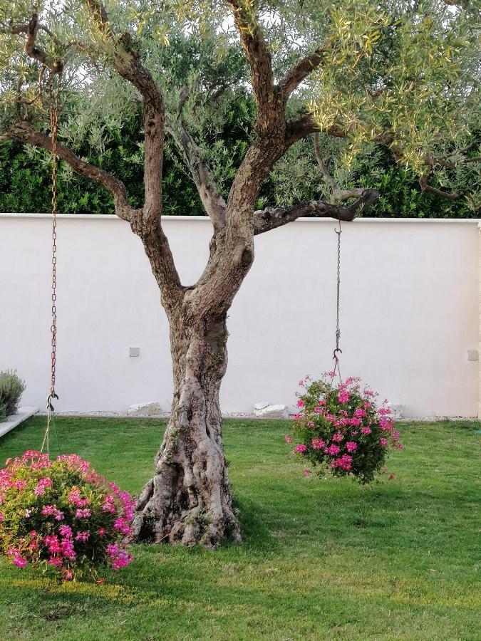 אומאג Villa Roza מראה חיצוני תמונה