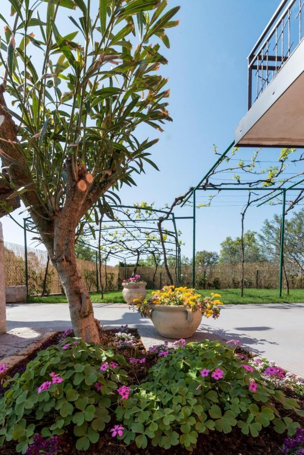 אומאג Villa Roza מראה חיצוני תמונה